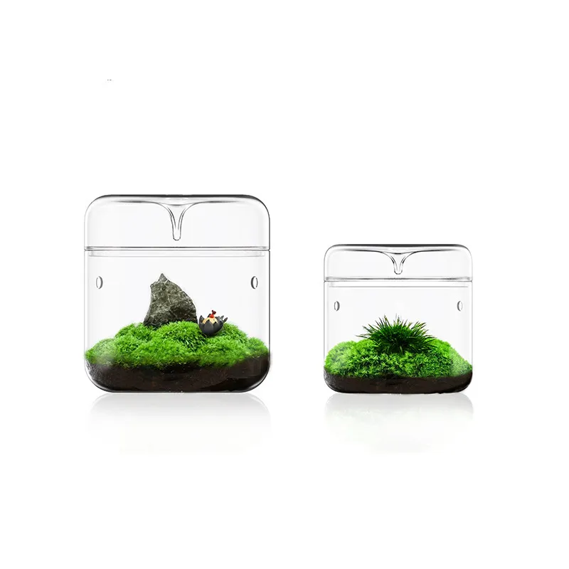 Glass Terrarium 9