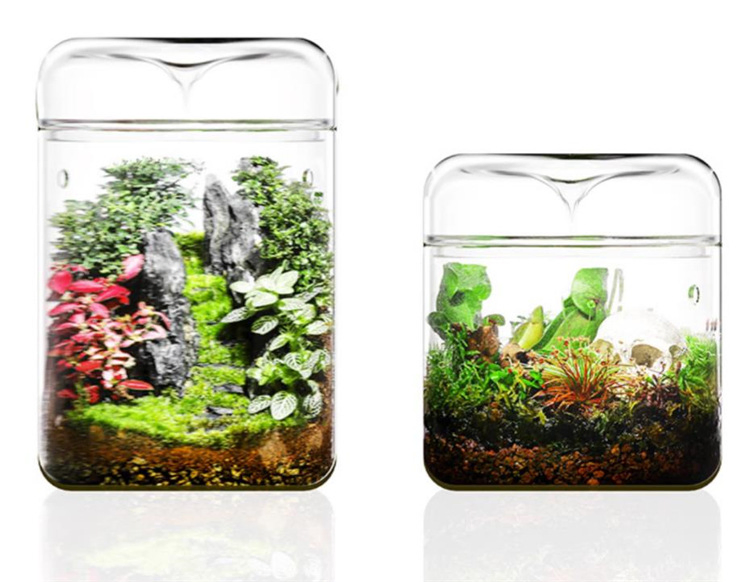 Elegant Geometric Plant Terrarium Vase for Indoor Plants, Mini Garden &amp; Centerpiece Glass Terrarium Box with Removable Glass Lid
