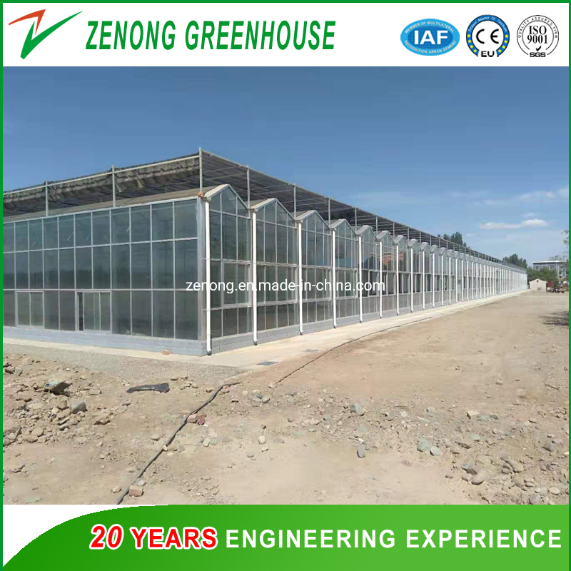 Venlo Tempered Glass Greenhouse with Hydroponics Growing System for Vegetables/ Flowers/ Tomato