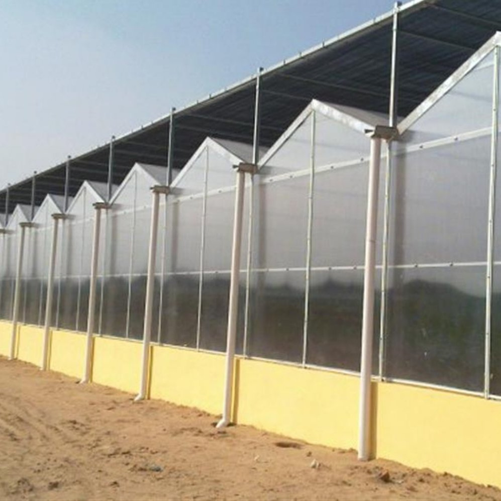 Premium Factory Glass Greenhouse for Hydroponics and Crop Growth