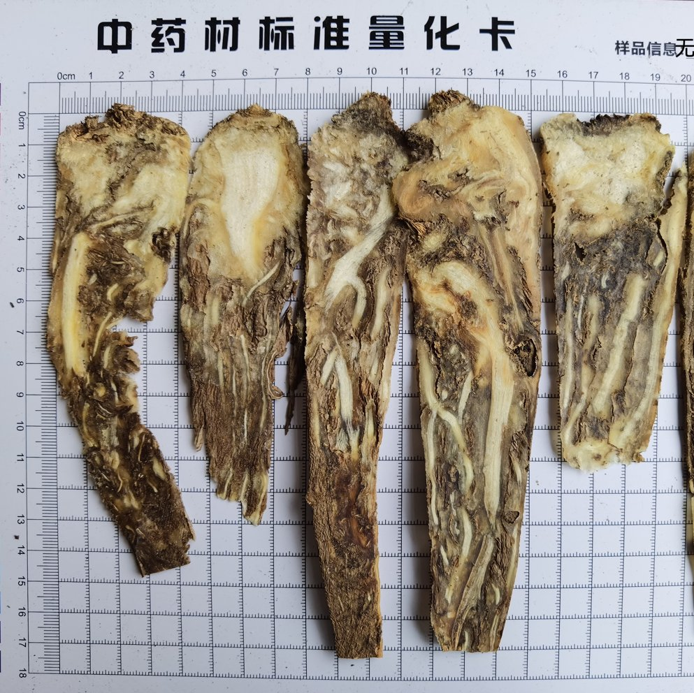 Hot Herbs Wholesale Chinese Herbs Medicinal Herbs Angelica Sinensis Chinese Herbs