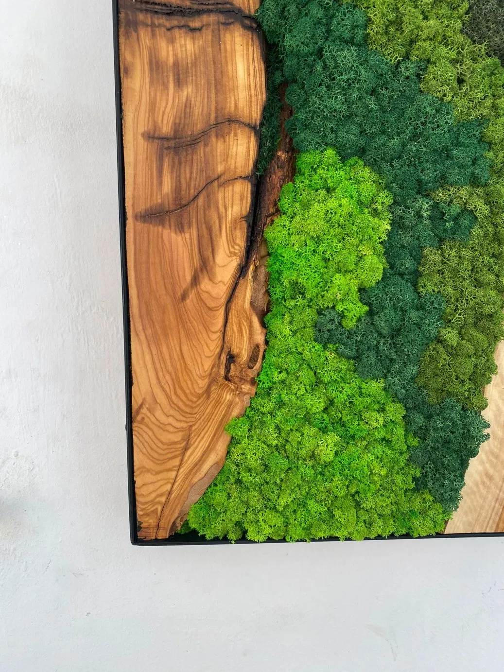 Custom Made Moss and Olive Wood Wall Art Metal Frame Moss Wall Decor Olive Wood and Moss Wall Art Preserved Stabilized Moss Wall Decor