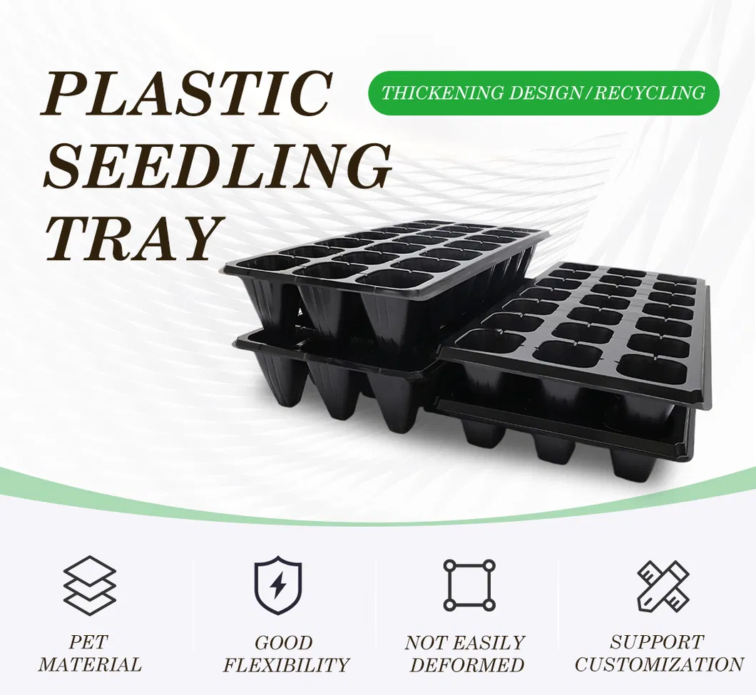Seedling Tray Overview