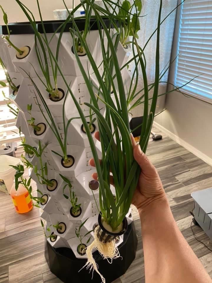 Home Garden Vertical Grow Kit Growing Systems Complete Hydroponic System Smart Home Automation System