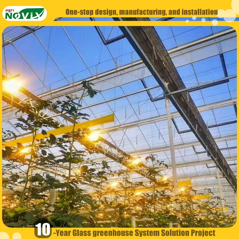 Hydroponic System Large PC Polycarbonate Greenhouse for Multi Crop Farming