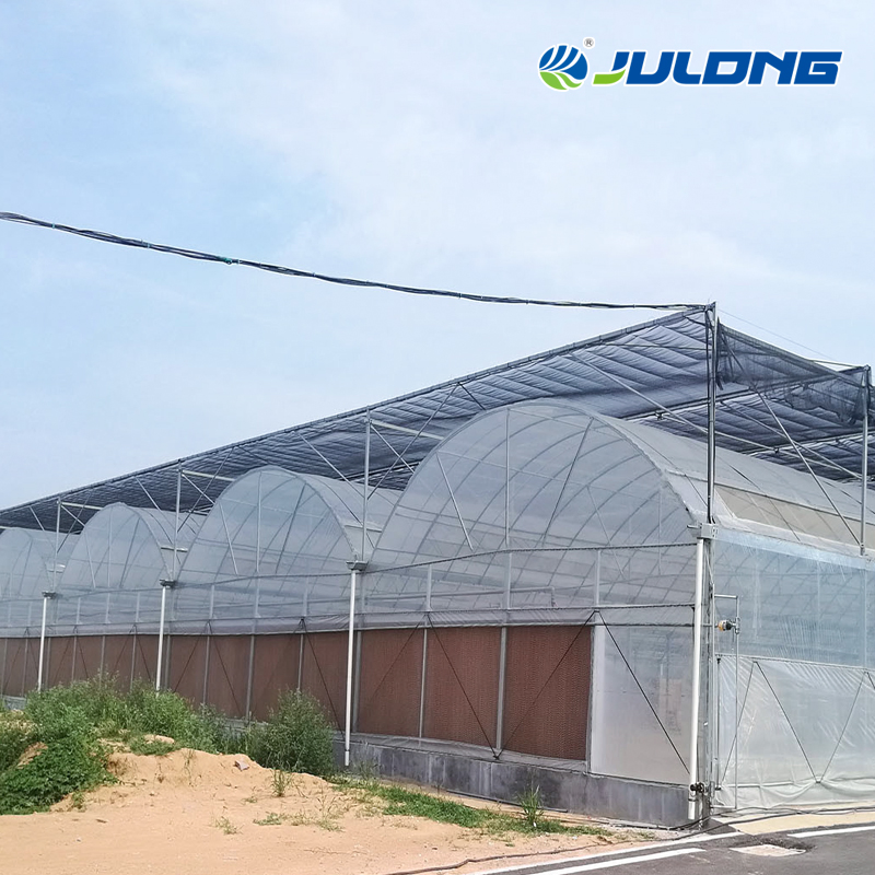 Turnkey Project Agricultural Multi Span Film/Polycarbonate/Glass Steel Structure Greenhouse with Hydroponics Irrigation System Used Tomato/Lettuce/Strawberry