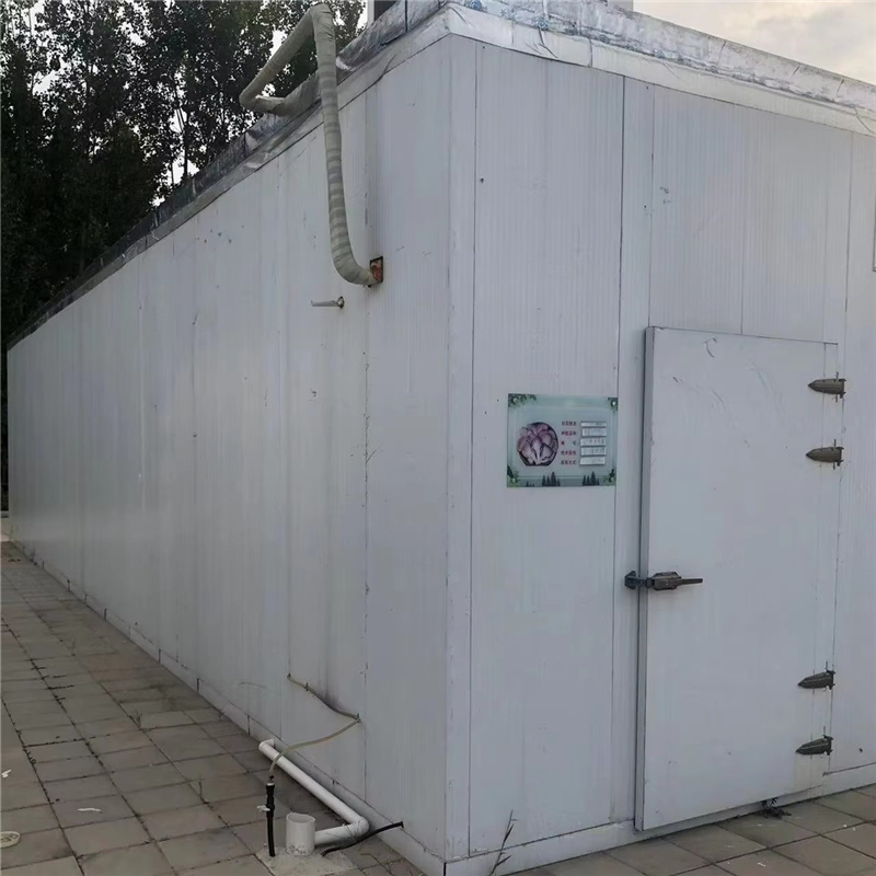 Wheat Grass Planting Container Farm Hydroponics