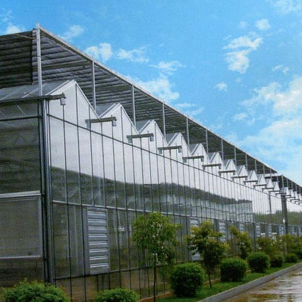 Premium Factory Glass Greenhouse for Hydroponics and Crop Growth