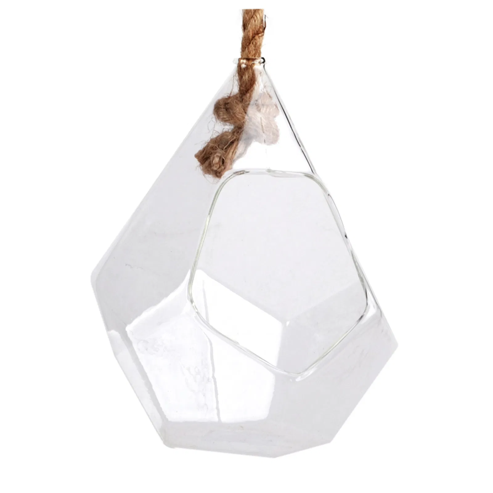 Clear Hanging Succulent Air Plant Terrarium with Rope Decoration
