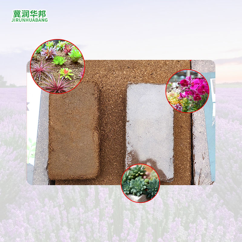 Biodegradable Coconut Shell Bricks: Suitable for Urban Gardening and Rooftop Greening, High-Quality Growing Materials