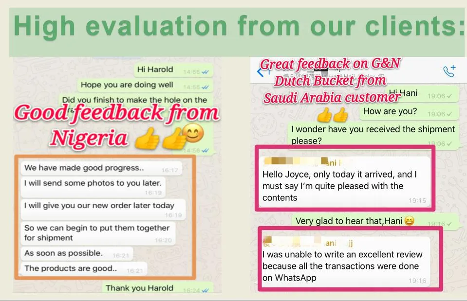 Tomato Growing System