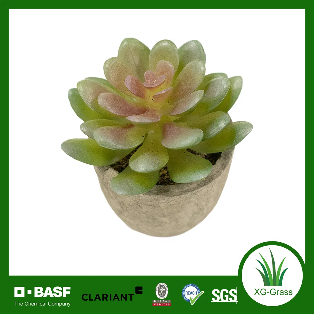 Lifelike Mini Succulent Art 3