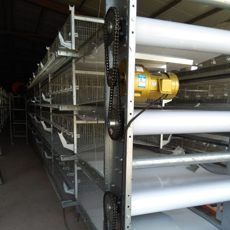 Convenient Automated Steel Structure Building/ Incubation Plants with Selectable Layers