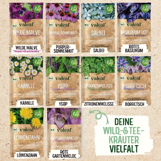 Organic 10-Kind Herb Garden Sow Packet Box Plant Kit for Medicinal Tea Herbs Wild Spices Cultivation Sows for Planting Included/Hydroponics