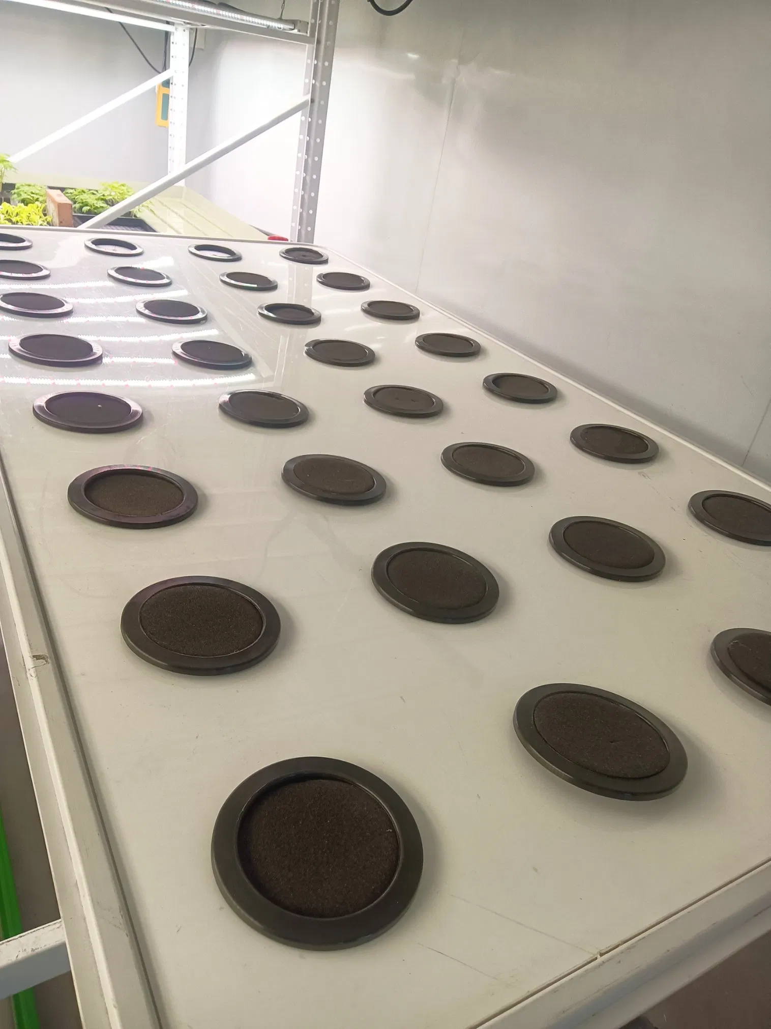 Advanced Aeroponic Farmbox Eco-Efficient System for Therapeutic Botanical and Medicinal Herb Farming