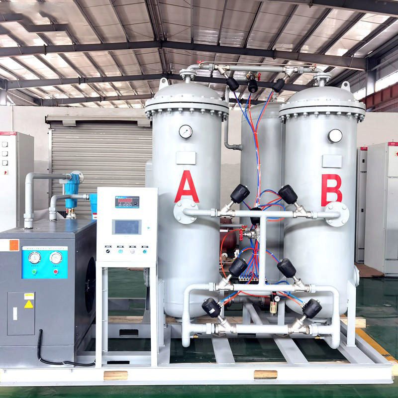 Nitrogen Plant 3nm3/Hr Nitrogen Gas Generator for Food Preservation