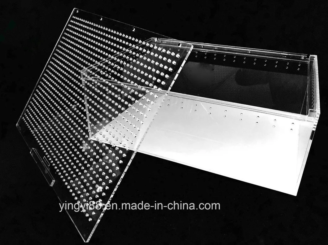 Acrylic Reptile Build