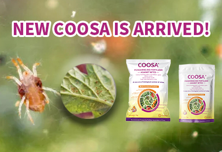 COOSA Natural Amino Foliar Spray: Water Soluble Nutrition + Beneficial Bacteria for Spider Mites Management