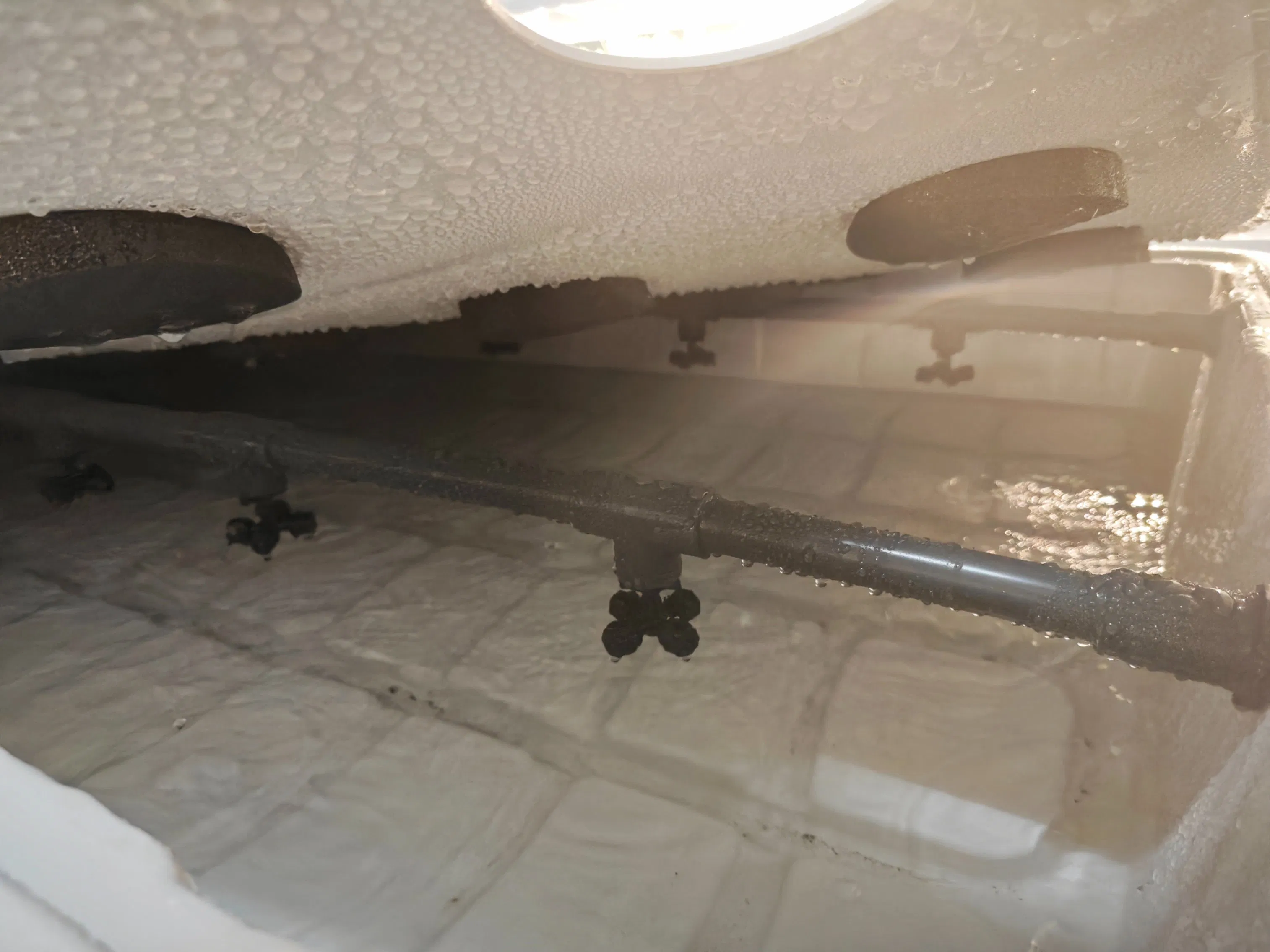 Reinfa Aeroponic System Low-Pressure Mist Technology for Root Oxygenation of Medicinal Herbs