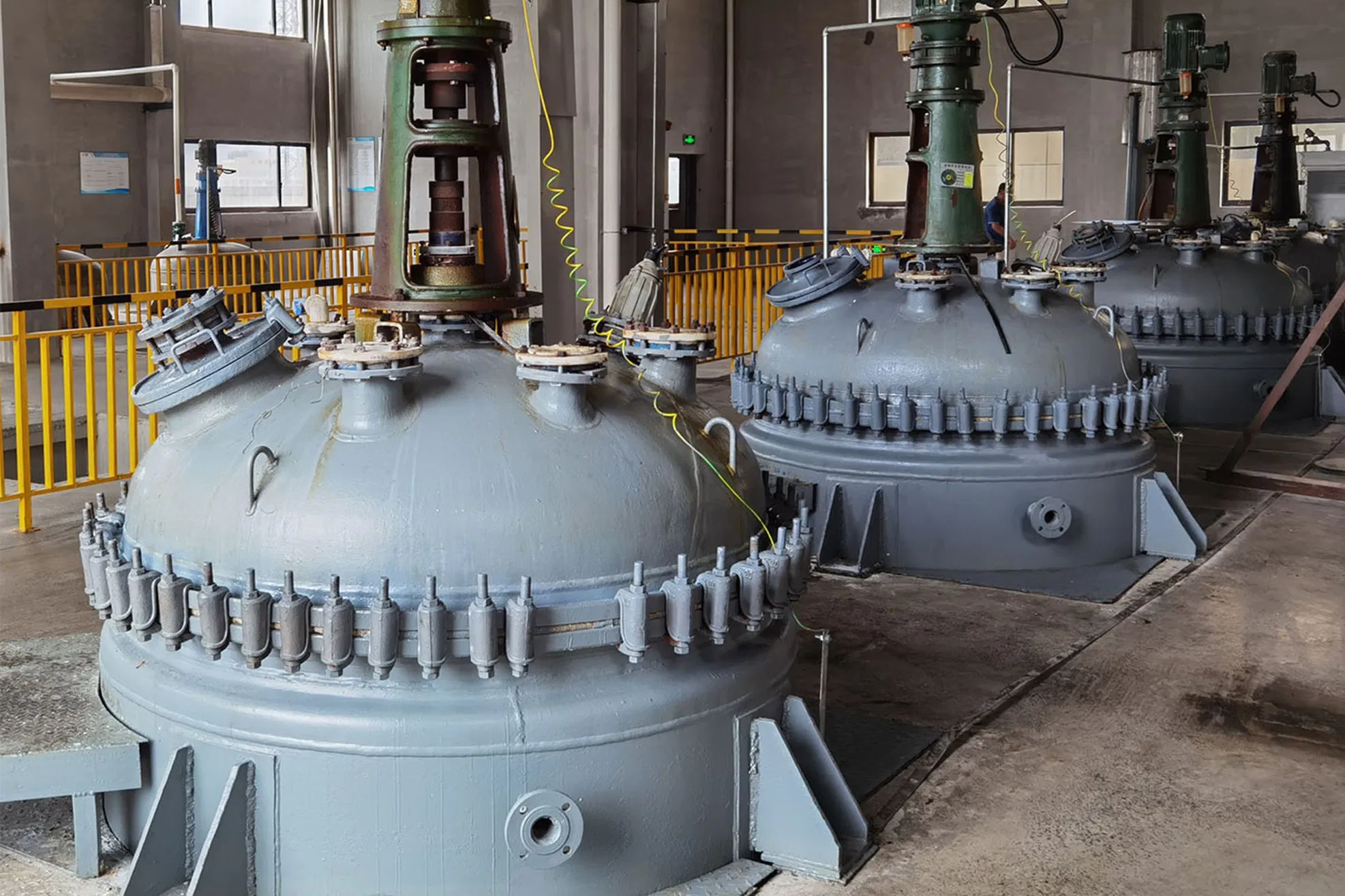 Organic ARPHA GOLD Mycorrhizal Inoculant: Natural Rooting Bio Stimulant for Healthier Seedlings