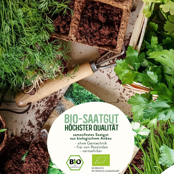 Organic 10-Kind Herb Garden Sow Packet Box Plant Kit for Medicinal Tea Herbs Wild Spices Cultivation Sows for Planting Included/Hydroponics