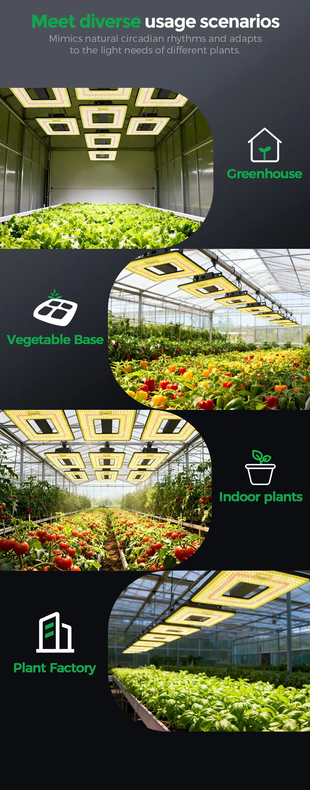 LED Grow Light 5