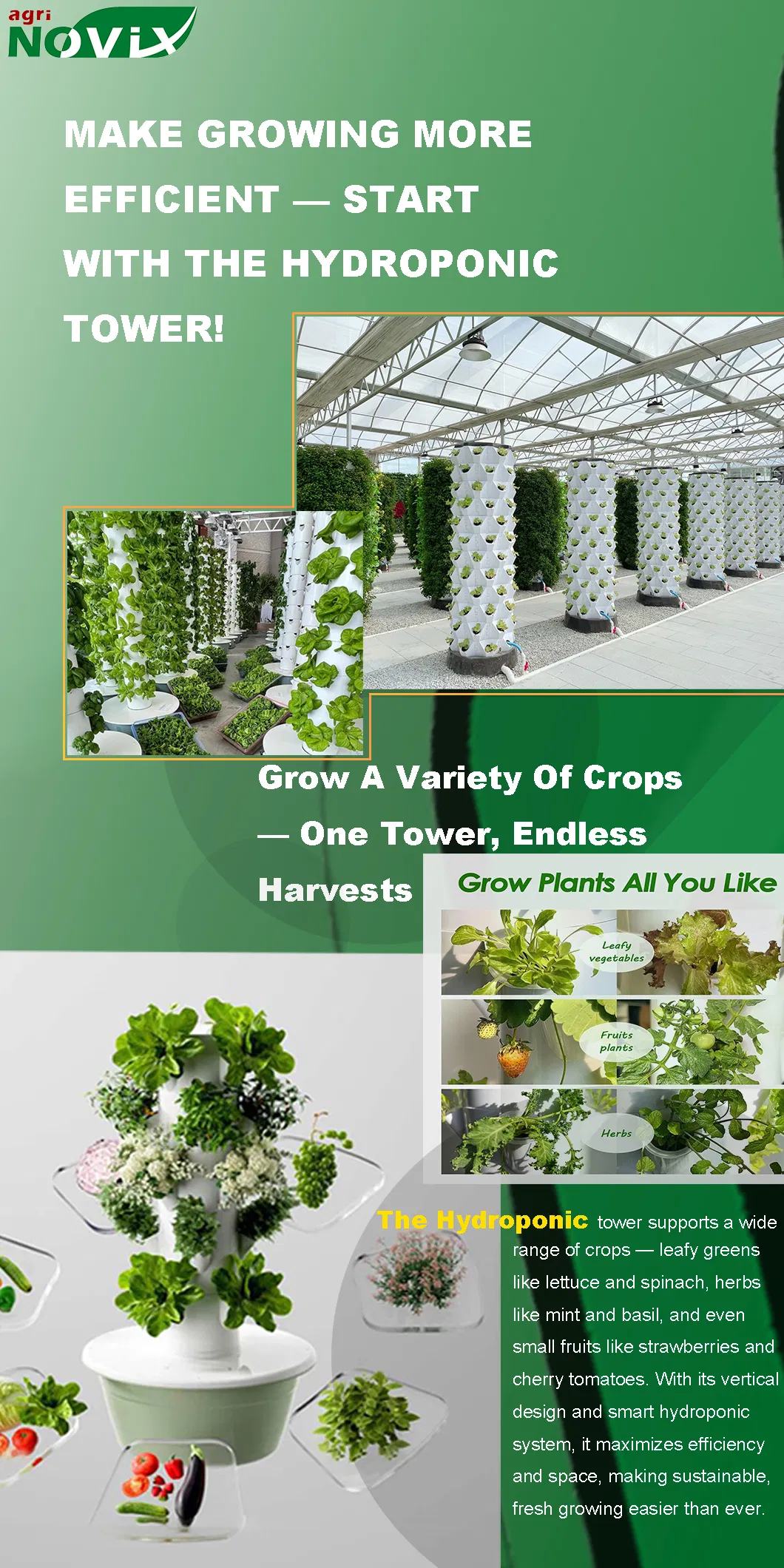 Traditional vs Hydroponic