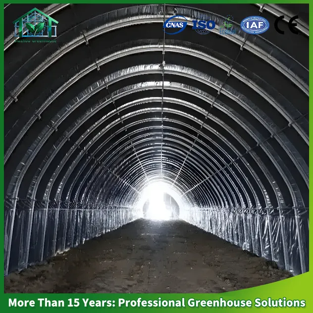 Greenhouse Display 2