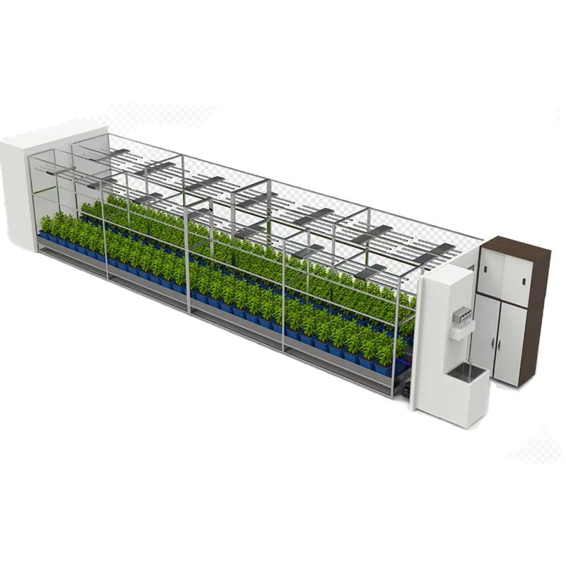 Agg Smart Auto Control Indoor Growing Hydroponic Shipping Container Farm Greenhouse System Small Vertical Hydroponic Container