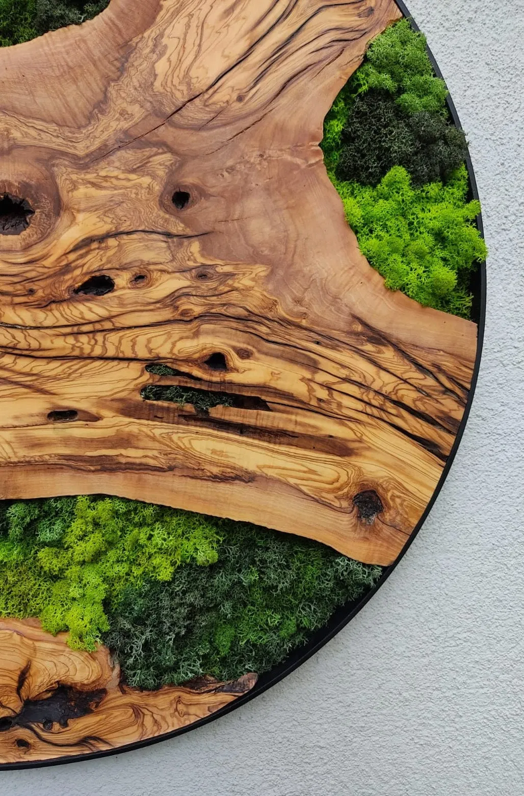 Custom Made Moss and Olive Wood Wall Art, Handmade Gift, Preserved Moss Art, Living Wall, Wall Decor, Wood Wall Art