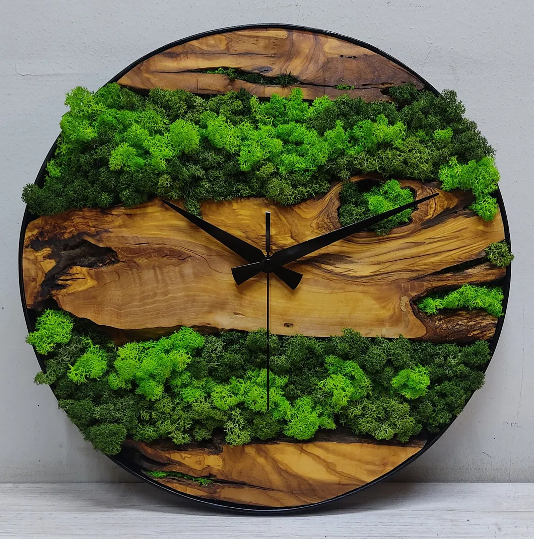 Moss Wall Art