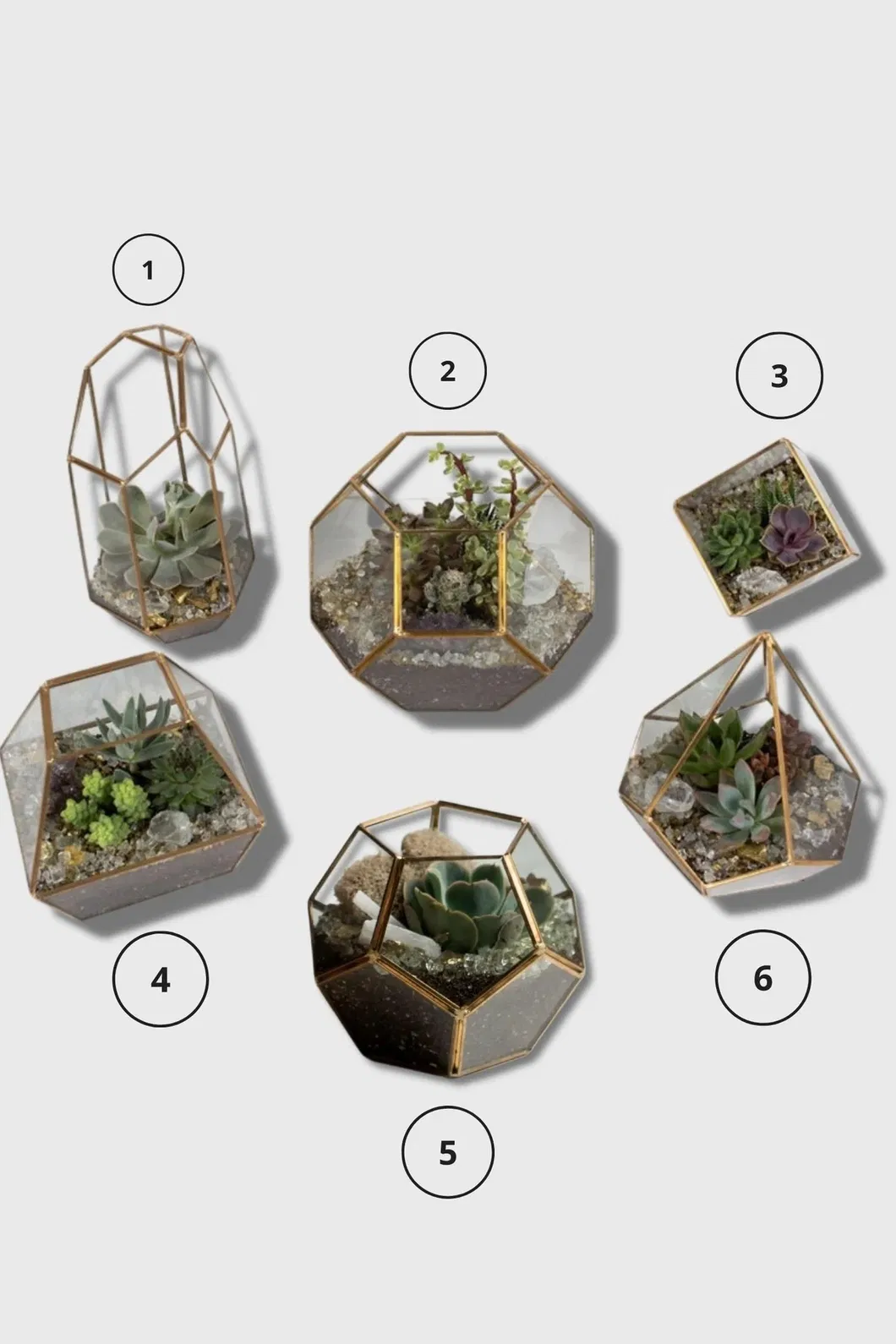 Terrarium Arrangement 3