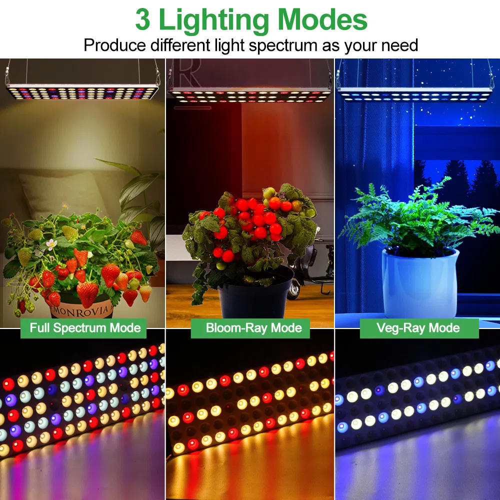 100W 200W 300W Full Spectrum Quantum LED Grow Light for Greenhouse Vegetable Growth