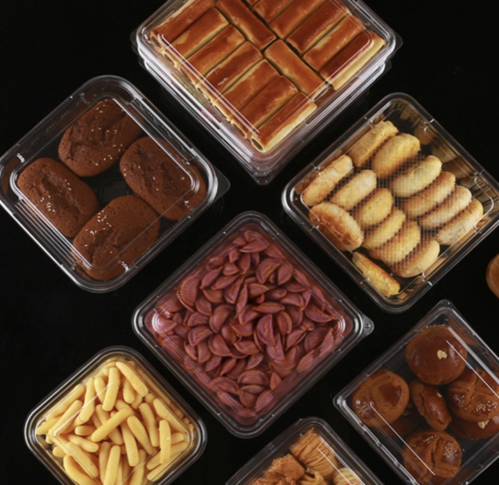 Food Safe Eco-Friendly Rectangle Customized Pet Plastic Cake Box