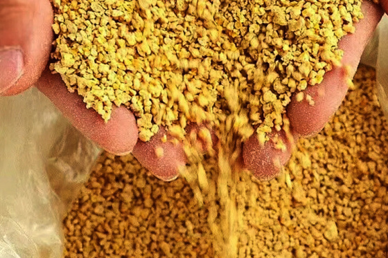 Hangzhou Sativa Plant - Application in Animal Feed Industry