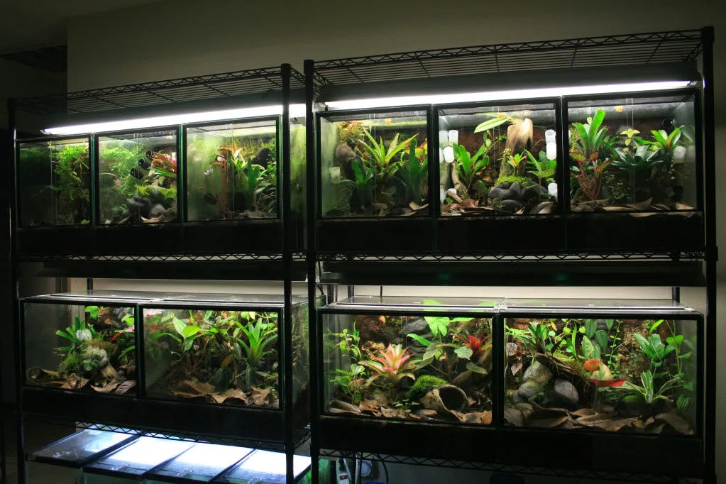 Terrarium Detail View 2