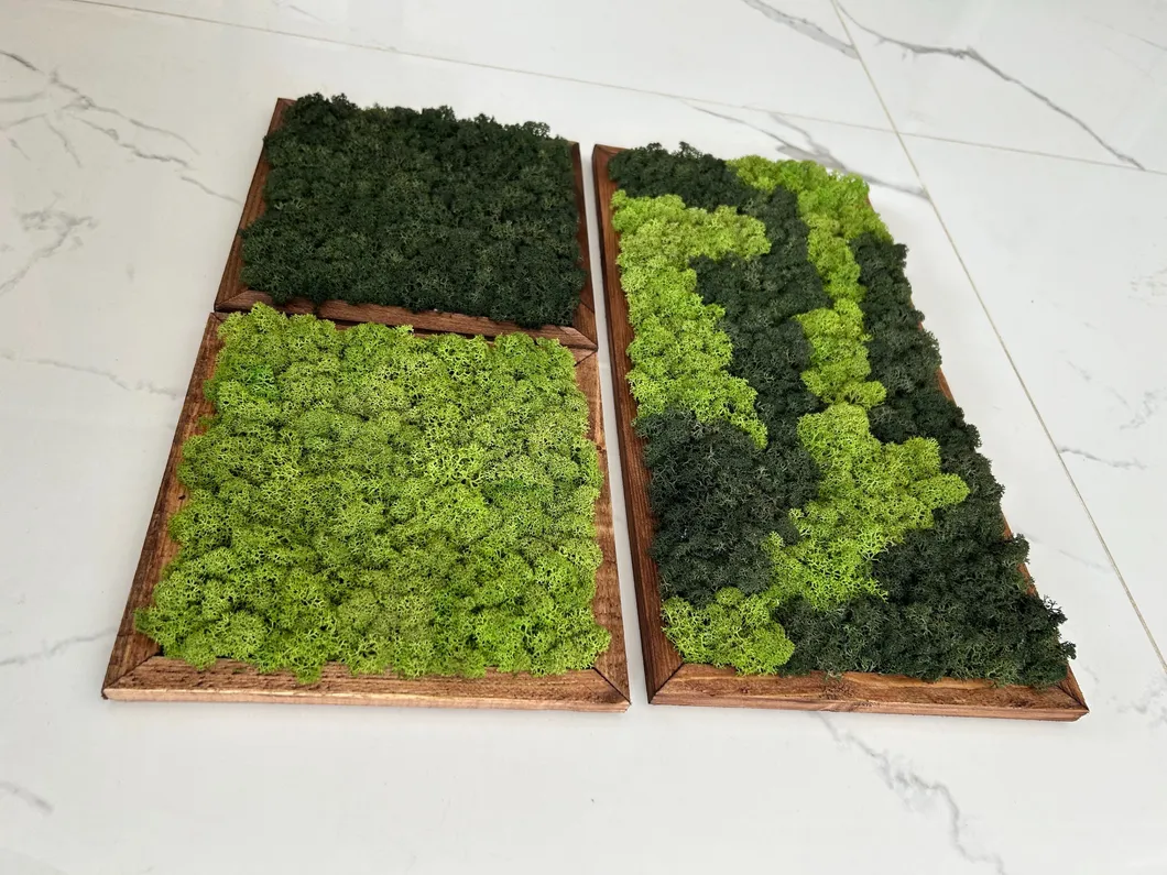 Moss Wall Decor Preview 3
