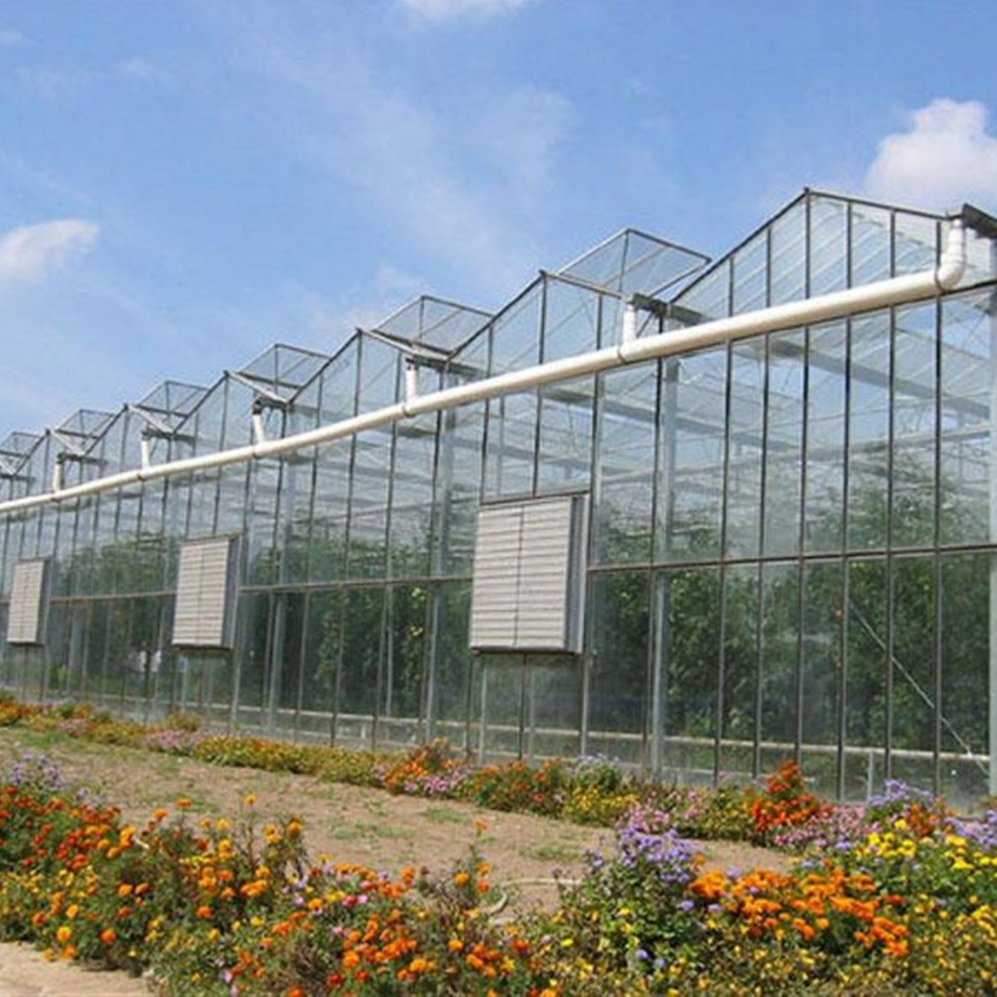Premium Factory Glass Greenhouse for Hydroponics and Crop Growth