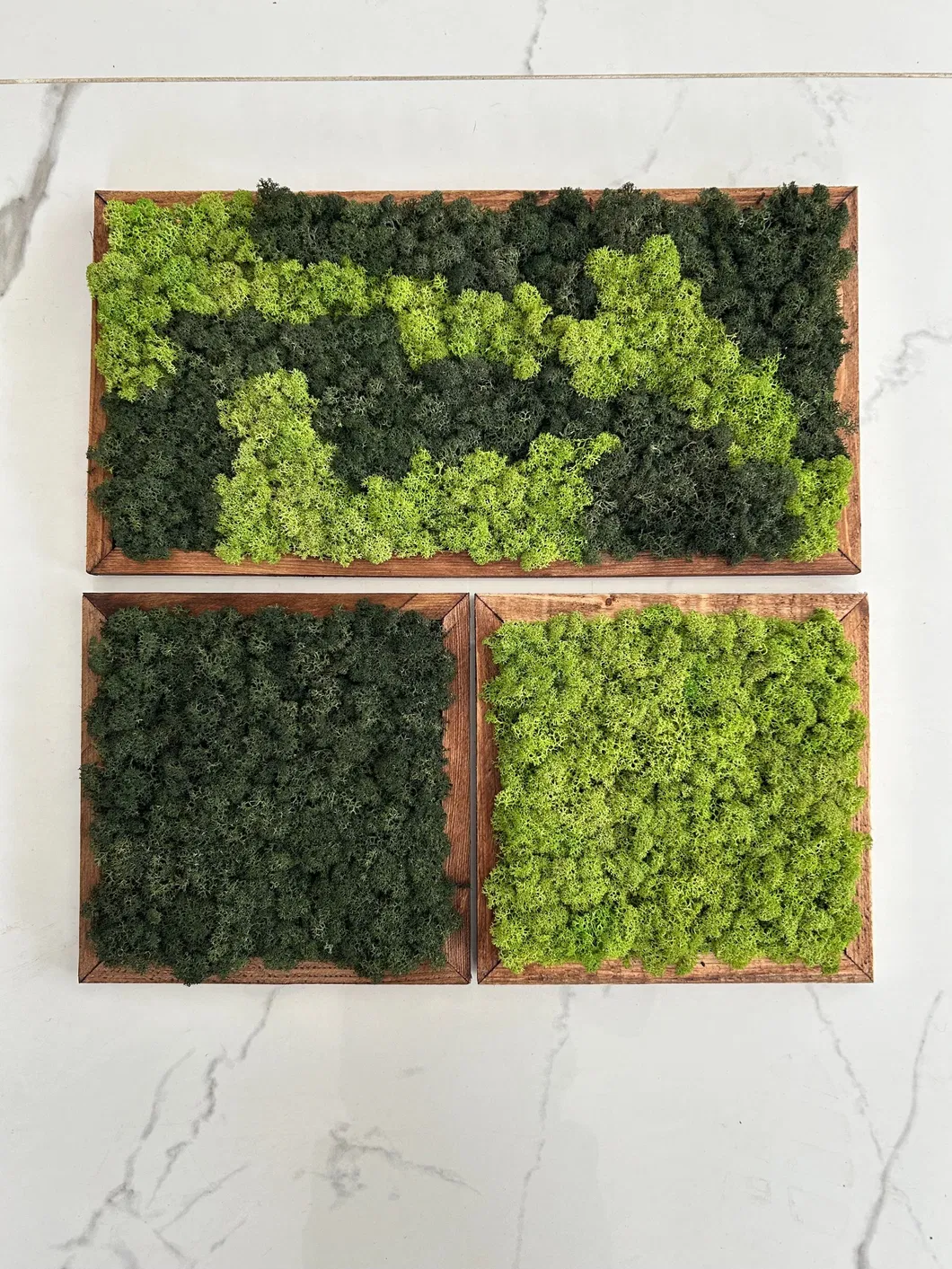 Moss Wall Art Product Image