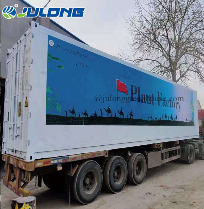 Modern Smart Hydroponic System Growing Shipping Container Greenhouses for Lettuce Leafy Vegetables Farming