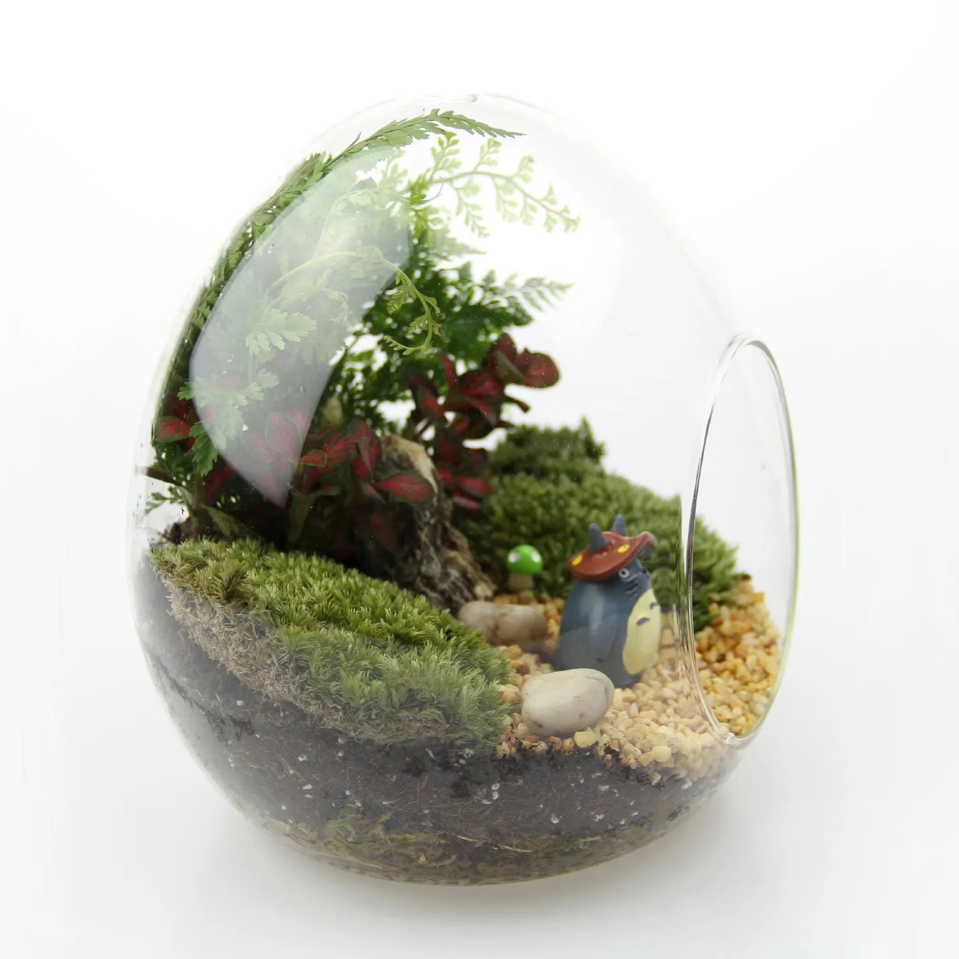 Fairy Garden Decor Egg Shaped Clear Glass Vase Terrariums