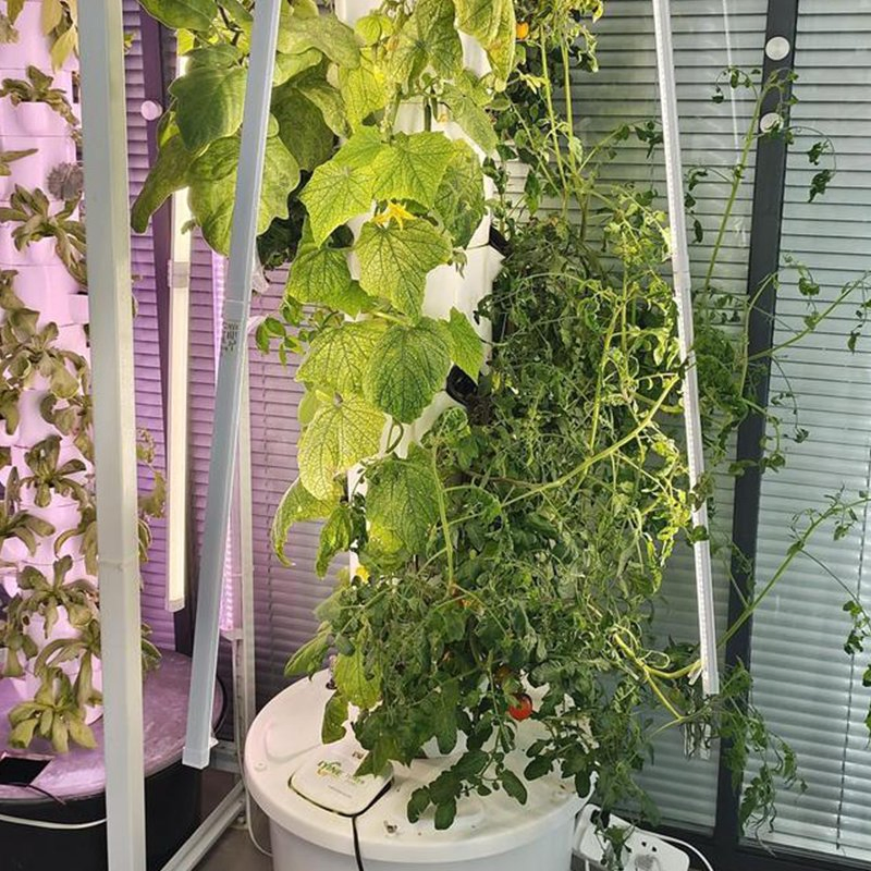 Smart Hydroponic Tower Garden for Greenhouse Home Cultivation