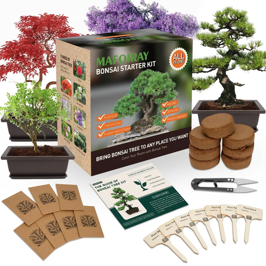 Bonsai Starter Kit