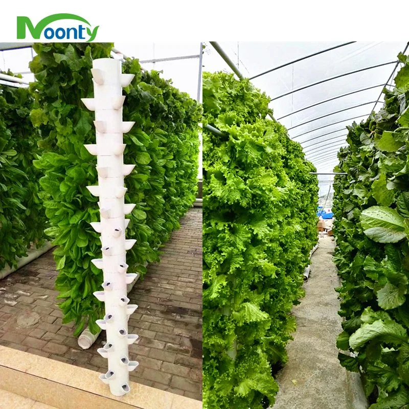 Rooftop Vertical Tower Grow for Microgreens/Lettuce/Butterhead/Sweet Basil Cultivation Urban Farming Hydroponics System