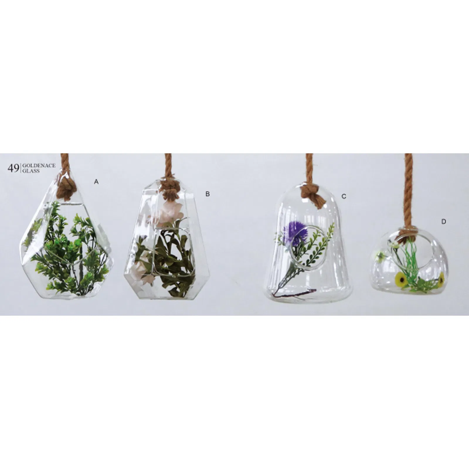 Clear Hanging Succulent Air Plant Terrarium with Rope Decoration