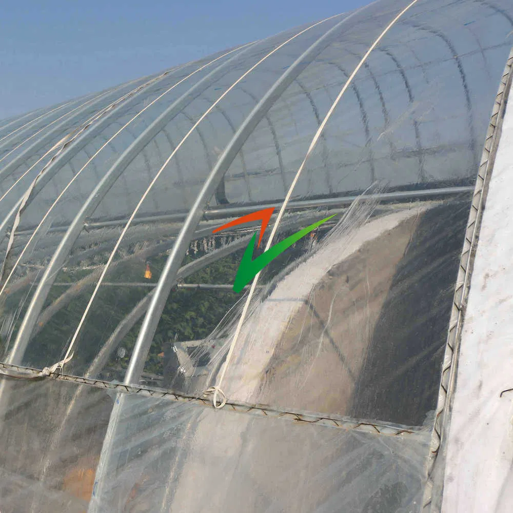 Single Span Film Solar Greenhouse Air Wall Greenhouse with Intelligent/Shading/Irrigation System for Plant Heat Preservation and Shading