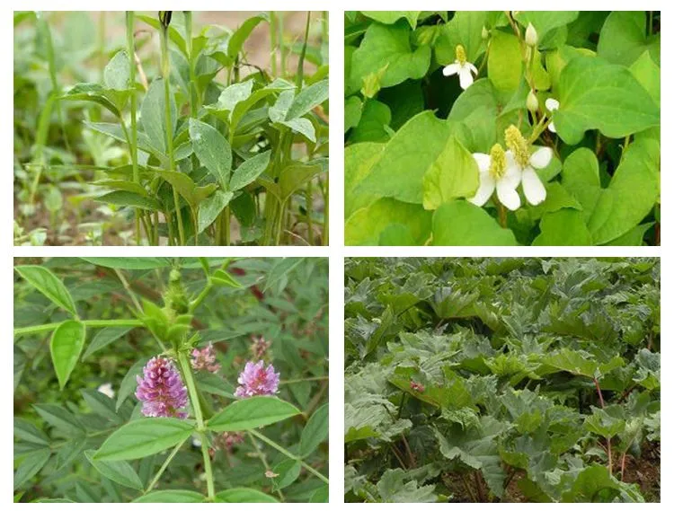 Herb Harvester Features