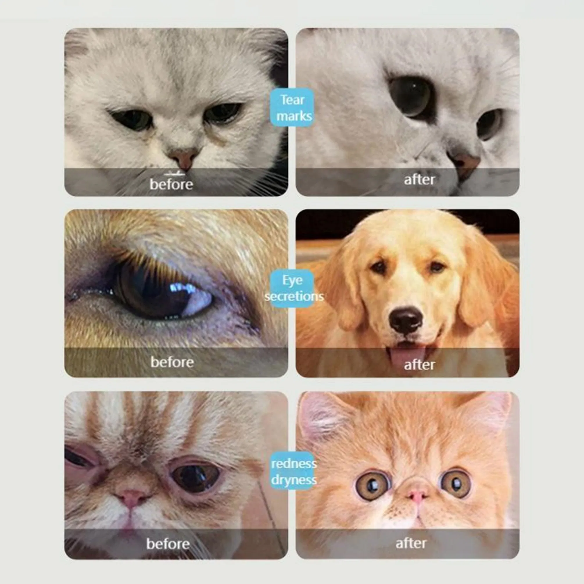 Tetrapod Natural Pet Eye Lotion - Safe for Sensitive Eyes