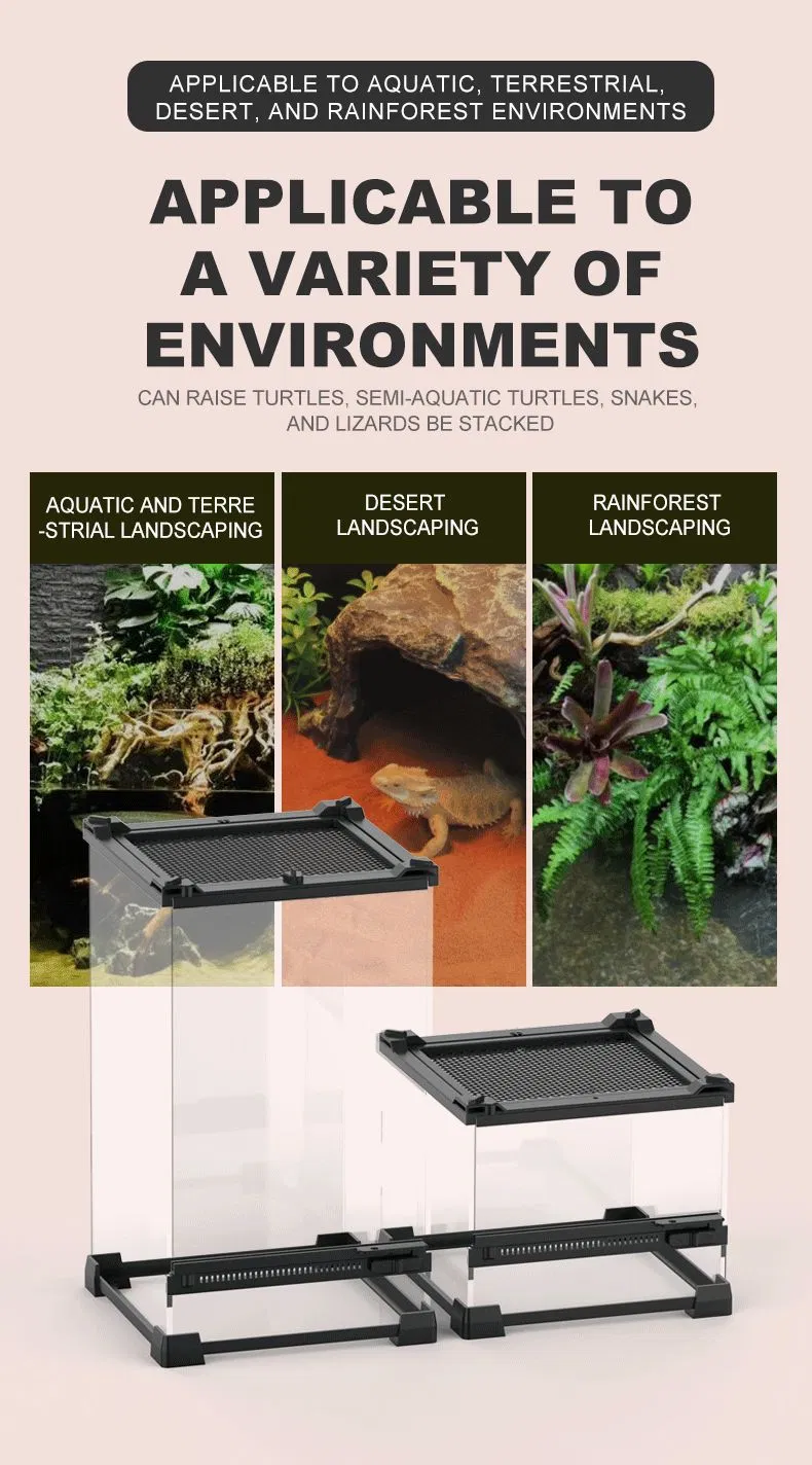 Glass Terrarium Details 1