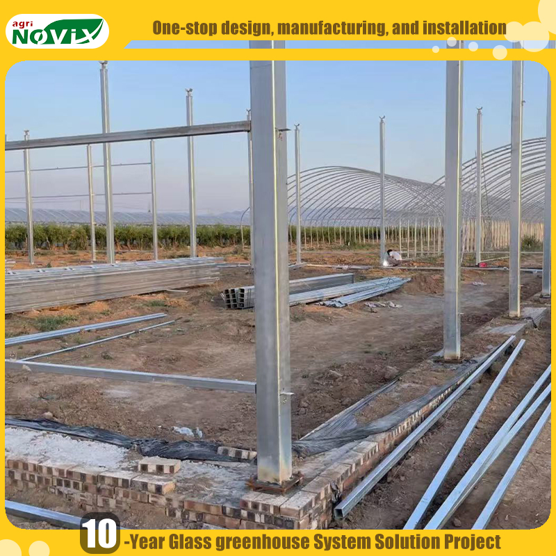 Hydroponic System Large PC Polycarbonate Greenhouse for Multi Crop Farming